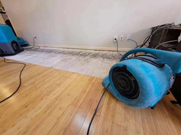 Professional Structural Drying technician working in Mayville, WI